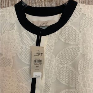 LOFT - NWT lace dress